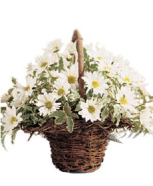 Rustic Basket with Daisies 