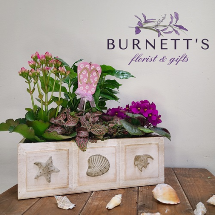 Rustic Beach Planter
