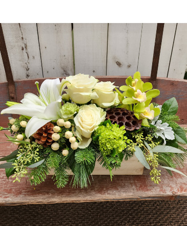 Rustic Christmas Beauty Centerpiece Arrangement in Whitehall, MI | WHITE LAKE GREENHOUSES FLORAL