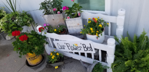 Rustic garden planters Fresh plants in country containers
