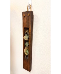 Rustic Hanging Air Plant Wall Decor