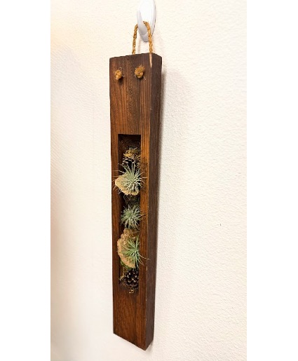 Rustic Hanging Air Plant Wall Decor
