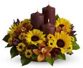 RUSTIC RADIANCE