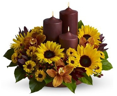 RUSTIC RADIANCE