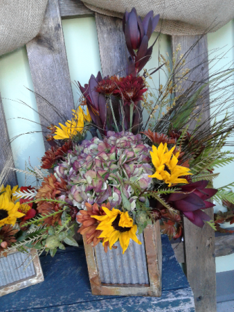 Rustic Ranch Harvest Heartland Series