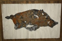 Rustic Razorback 