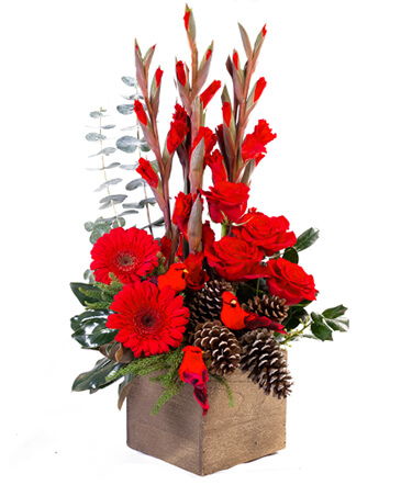 Rustic Red Christmas Flower Arrangement in Riverside, CA | Willow Branch Florist of Riverside