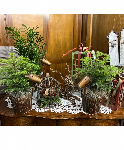 Rustic Reindeer Tin Plant