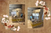 Rustic Roam Basket 