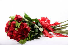 Category Image