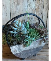 Rustic Succulent Basket (Large) Succulent planter