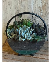 Rustic Succulent Basket (small) Succulent planter