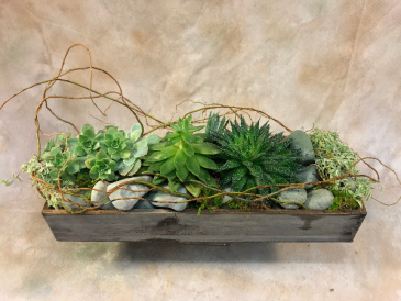 Rustic Succulent Garden