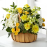 Rustic Summer 