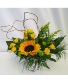 RUSTIC SUNSHINE FRESH FLOWER ARRANGEMENT