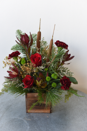 Rustic Winter