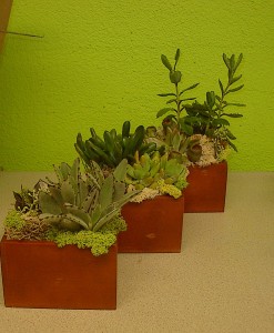 https://cdn.atwilltech.com/flowerdatabase/r/rustic-wooden-vases-with-succulents-las-vegas-plan-5969311ed639e.300.jpg