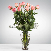 RV12 Dozen Pink Roses 