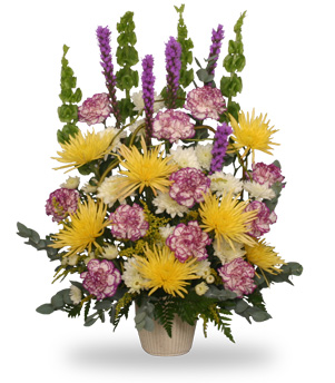 THOUGHTFUL REFLECTIONS Funeral Arrangement