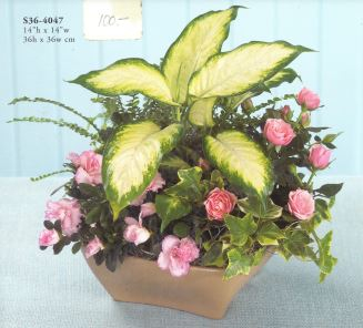 S36-4047 Blooming and Green Plants Dish Garden