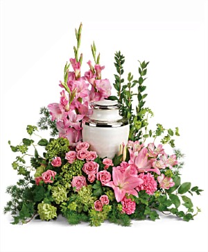 Sacred Solace Cremation Tribute 