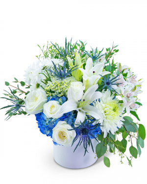 Safe Haven Flower Arrangement in Nevada, IA | Flower Bed Safe Haven Flower Arrangement in Nevada, IA | Flower Bed