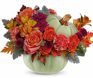 Sage Harvest November Special $5.00 off in Culpeper, VA | ENDLESS CREATIONS FLOWERS AND GIFTS