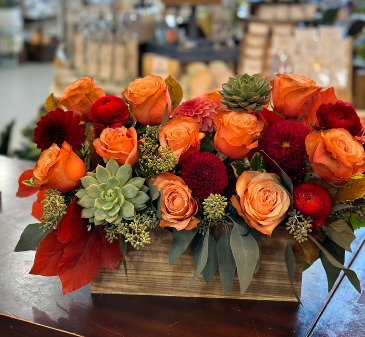 Sage Harvest  in Highland, UT | Painted Daisy Florist