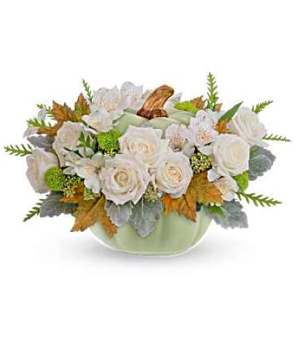 Sage Pumpkin  