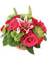 Sage Roses & Stargazers Floral Design