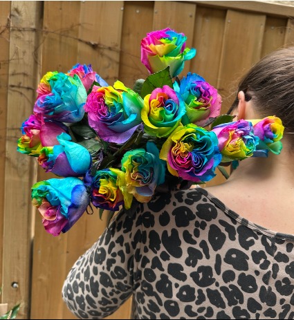 SALE Rainbow Coloured Roses Show your Pride!