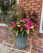 SALE - Stunning Shade Tolerant Patio Planter 