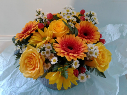 salutation to the sun centerpiece