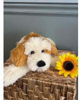 Sam the Snuggle Hound plush animal