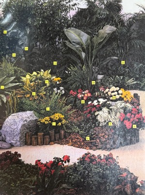 Sample $45 and up  Plant Rentals
