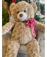 Sampson the Bear Raffle! 