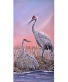 Sandhill Cranes  Acrylic on Canvas 