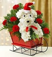 One Dog Open Sleigh Keepsake sSeigh in Gainesville, FL | PRANGE'S FLORIST