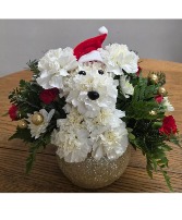 Santa Helper Carnation pup 