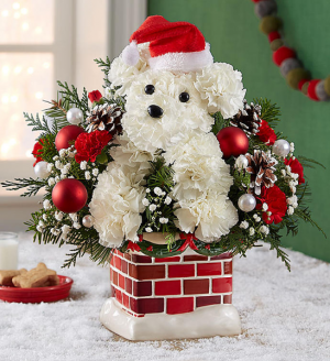 Santa Paws in New Wilmington, PA | FLOWERS ON VINE Santa Paws in New Wilmington, PA | FLOWERS ON VINE