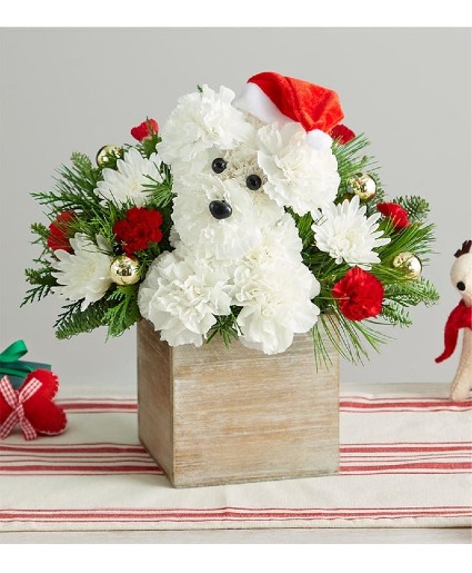 Santa Paws