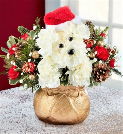 Santa Paws ! Using Ornament Container Best Seller!!!