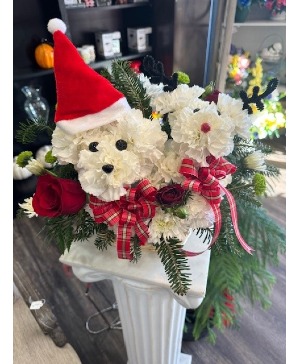 Santa Paws and Reindeer Christmas