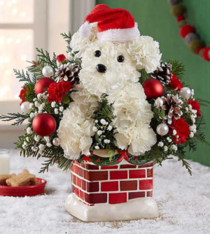 Santa Paws by 1800Flowers 