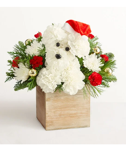 Santa Paws Christmas Flowers
