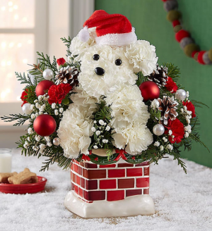 Santa Paws Holidays in Las Vegas, NV | All In Bloom Santa Paws Holidays in Las Vegas, NV | All In Bloom