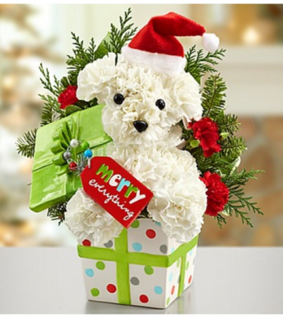 Santa Paws™ in a Gift Box Arrangement