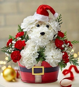 Santa Paws In Adorable Belted Tin