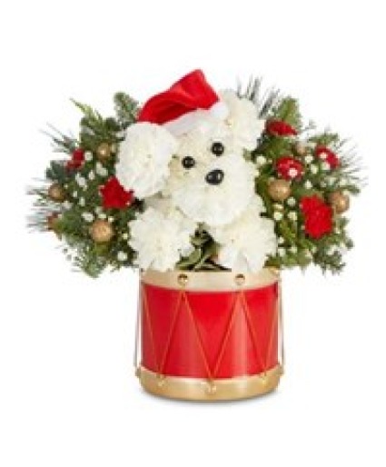 Santa Paws Pa Rum Pa Pum Pum Classic Flower Dog in Keepsake Drum Cache