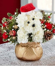 Santa Puppy 
